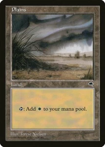 Magic The Gathering TEMPEST PLAINS C land card MTG - Picture 1 of 1