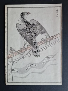 Antique c.1890 Japanese woodblock print - Falcon - Kikuchi Hobun - Picture 1 of 3