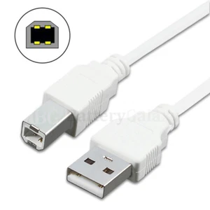 1-100 Lot 6' 10' 15' NEW USB 2.0 A TO B HIGH SPEED PRINTER SCANNER CABLE CORD - Picture 1 of 19