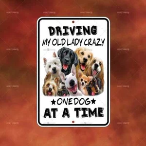 Driving Old Lady Crazy Dog Metal Sign Home room wall art gift decor funny A2890 - Picture 1 of 1