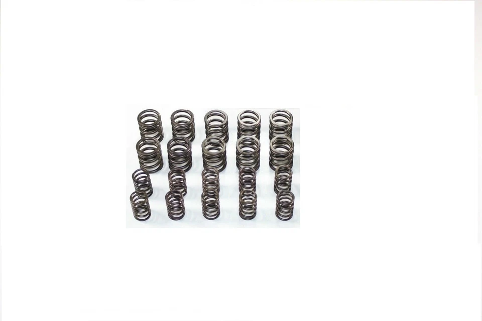 Schrick Ventilfedern für Audi Coupe 2,0-2,3l 5 Zyl. 10V Blitzversand!! - Bild 1 von 1