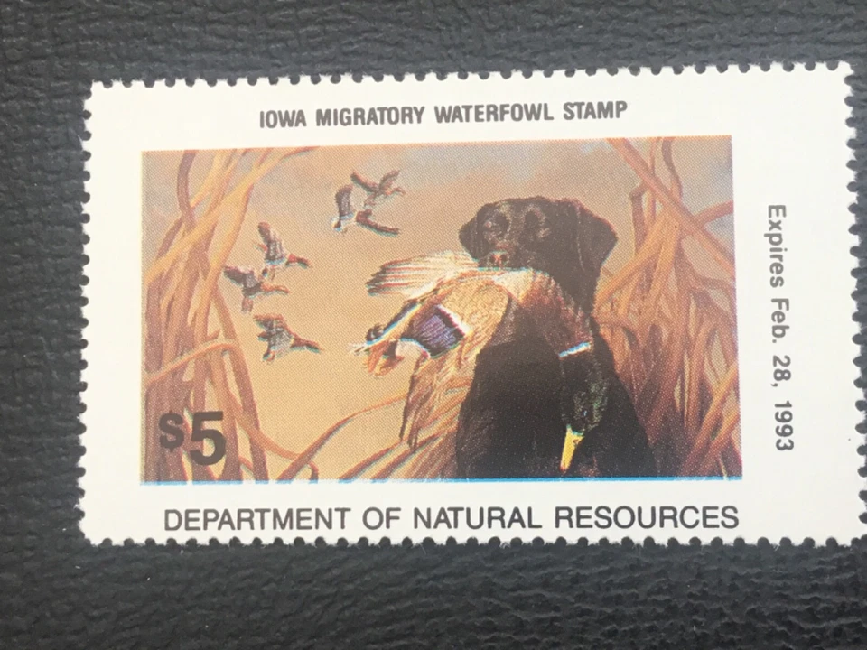 ICOLLECTZONE  US Iowa 1992 Duck Hunting Stamp VF NH IO21 - Image 1 of 1