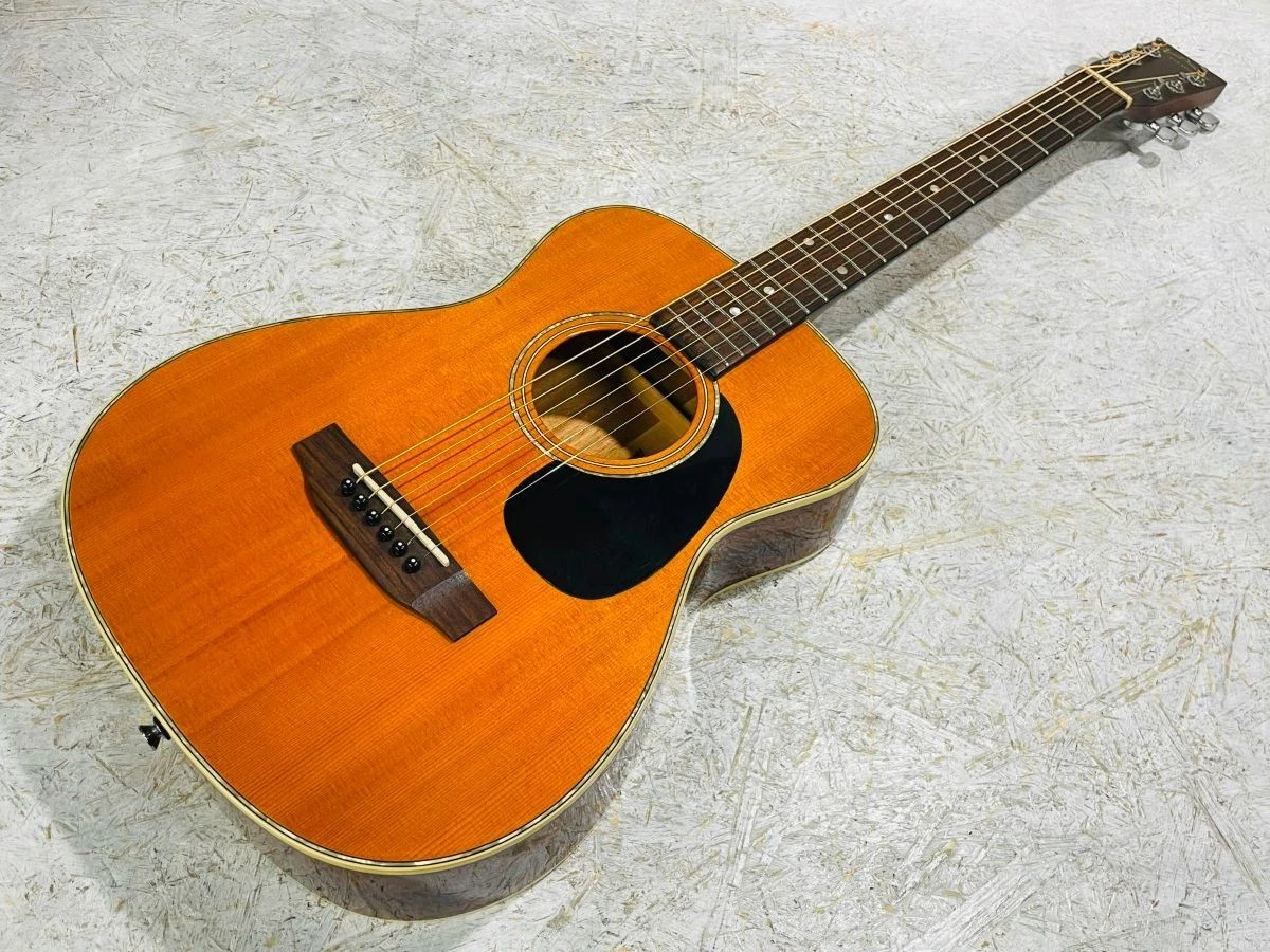 Aria Dreadnought Acoustic Guitars for sale - eBay