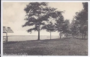 Greetings Lake View Indian River Mi Michigan Postcard - Picture 1 of 1