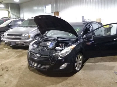 Tensor de correa ELANTRA 2012 2117411 Foto 1 de 4