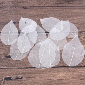 6 Piezas Hoja Vena Material Árbol Deja Ejemplo Marcadores Accesorios - Imagen 1 de 12