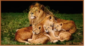 Lions Den VINYLPersonalized Checkbook Cover - Picture 1 of 9