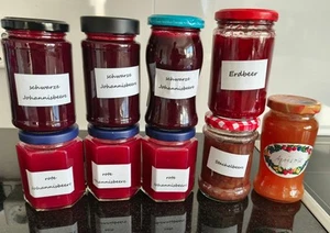 frisch gekochte Marmeladen Erdbeere Johannisbeere Stachelbeere Aprikose - Bild 1 von 2