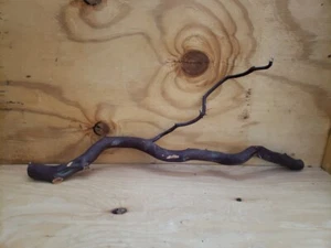 Red Manzanita  branch 23" x 11" x 8"   #110 - Picture 1 of 8