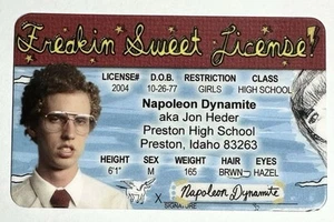 Napoleon Dynamite - Freaking Sweet License - Drivers - Novelty - Picture 1 of 2