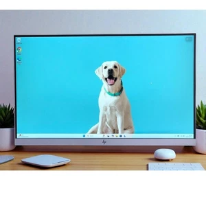 Moniteur IPS HP EliteDisplay E223 21,5" FHD, excellente qualité !! - Photo 1/7