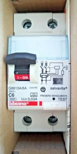 INTERRUTTORE MAGNETOTERMICO DIFFERENZIALE SALVAVITA BTICINO G8813A/6A BTDIN - Foto 1 di 1