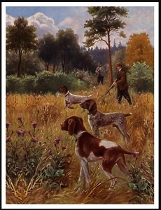 DEUTSCH KURZHAAR ZEIGER MANN HUNDE SCHIESSEN VINTAGE STIL HUND KUNSTDRUCK POSTER - Bild 1 von 1