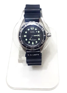 Damen Citizen Eco-Drive Diver 300M Edelstahl 300M Japan Made - Bild 1 von 10