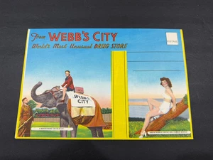 Vintage Webb's City Drug Store Large Advertising Mailer Card - Picture 1 of 2