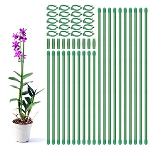 20pcs Plant Support Stakes Garden Flower Veg Single Stem Support Stick - Picture 1 of 5