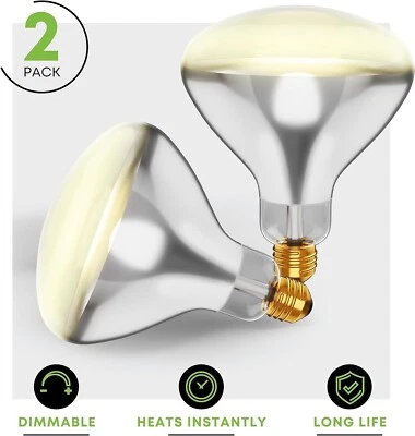 2 Pack 250R40  Clear /120 Heat Flood Lamp Bulb R40 - Image 1 of 4