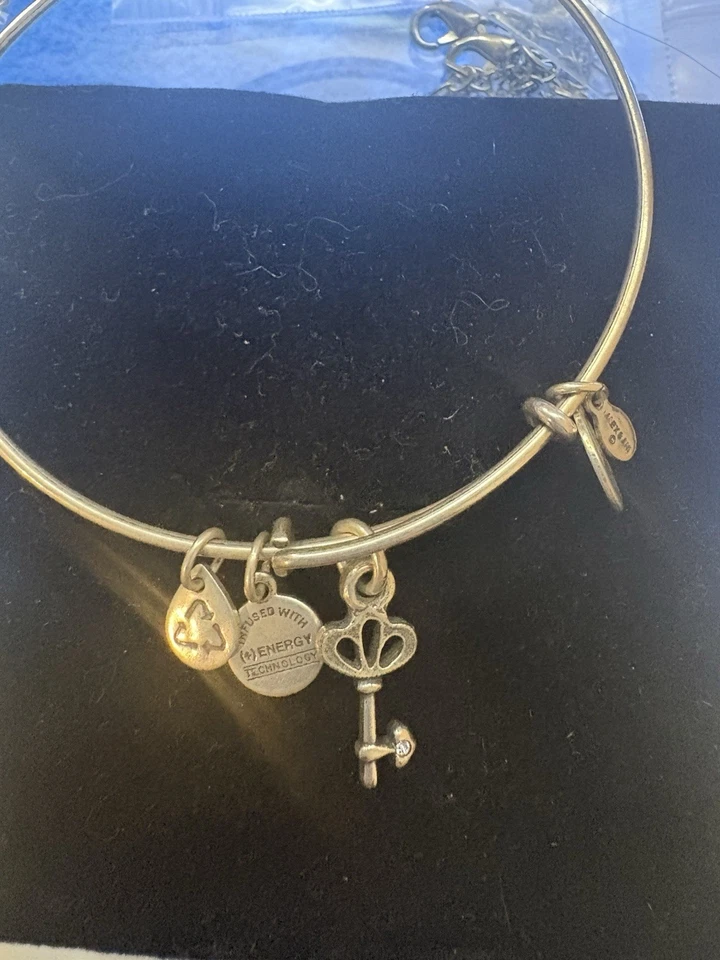 Pulsera de plata con dije de llave esqueleto Alex and Ani Foto 1 de 1