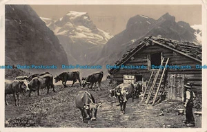 R106595 Auf der Alp. Photoglob - Bild 1 von 2