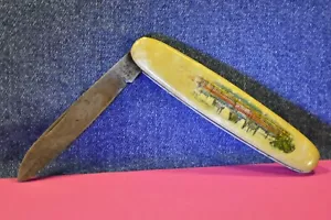 German  Vтg Celluloid  Handle  Pocket Knife c.1955's for parts or restoration - Picture 1 of 8
