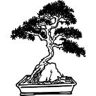 'Bonsai Tree' Unmounted Rubber Stamp (RS027799)