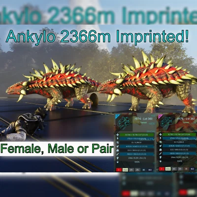 MY ARK ASCENDED Ark Survival Ascended Pve Ankylo / Anky 2366 Dmg Imprinted!