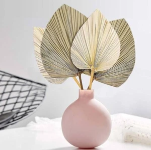 Dried Palm Leaves 4 Pieces 18.1’’ Natural Dried Palm Spears Large Dried Palm Fan - Picture 1 of 5