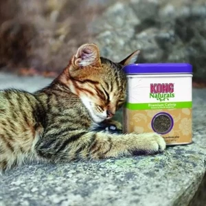 KONG Naturals Premium Catnip 1oz, 28g - Picture 1 of 2