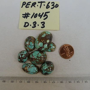 Persian Turquoise 100% Natural 7 Oval Cabochon 119 TCW - Picture 1 of 4