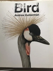 Andrew Zukerman.  Bird. HB 1st edition with DJ Near fine - Bild 1 von 12