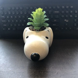 Peanuts Snoopy Face Ceramic Mini Planter with Artificial Succulent 3.5" x 5" NEW - Picture 1 of 5