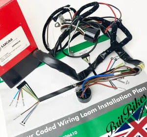 GENUINE LUCAS MAIN WIRING HARNESS - BSA C15 B40 (64-66) SIDE POINTS 549496610 - Picture 1 of 8