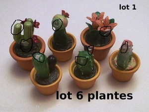 lot de plantes pour maison de poupée, vitrine ou mise en scène, lot N°1 - Photo 1/1