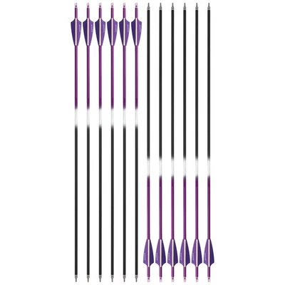 6/12X 30" Archery Carbon Arrow SP500 3" Rubber Vanes Field Bow Hunting Target - Image 1 of 4