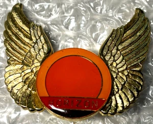 Vintage Horizon Airlines Captains Pilot Hat Wings Screw Back Pin 1 7/8" x 1 5/8" - Imagen 1 de 4