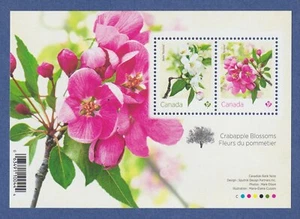 CANADA SOUVENIR SHEET OF 2 STAMPS (2021) MNH - CRABAPPLE BLOSSOMS  - Picture 1 of 1