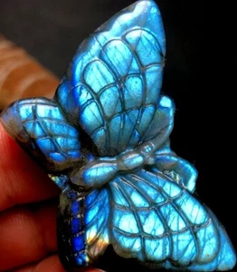 24g Butterfly carving Labradorite natural crystal Hand Carved Healing q966 - Picture 1 of 6