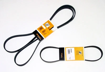 Kit de correa de transmisión de compresor y alternador de aire acondicionado para BMW 2004 2005 2006 x5 4.4i 4.8is Foto 1 de 4