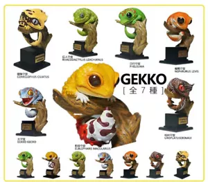 Gekko Kingdom Hecho a Mano Modelo Pintado Animal Escultura Limitada 7 PIEZAS Nuevo En Stock - Imagen 1 de 22