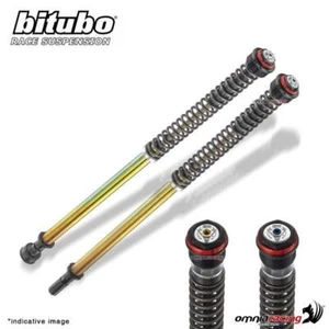 Cartuccia forcella Bitubo JBHV1 regolabile Kawasaki ZX6R 636 2003-2004 - Imagen 1 de 4