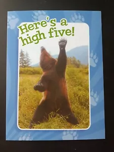 Funny Congratulations Card - Picture 1 of 4