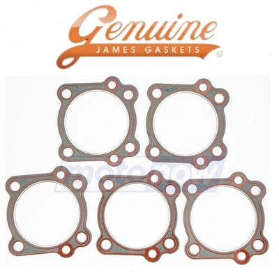 James Gasket Head Gasket for 1999-2009 Harley Davidson FLHT Electra Glide ad Foto 1 de 4