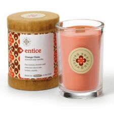 Entice Root Candles Seeking Balance jar eco soy Orange Clove 6.5oz Aromatherapy 