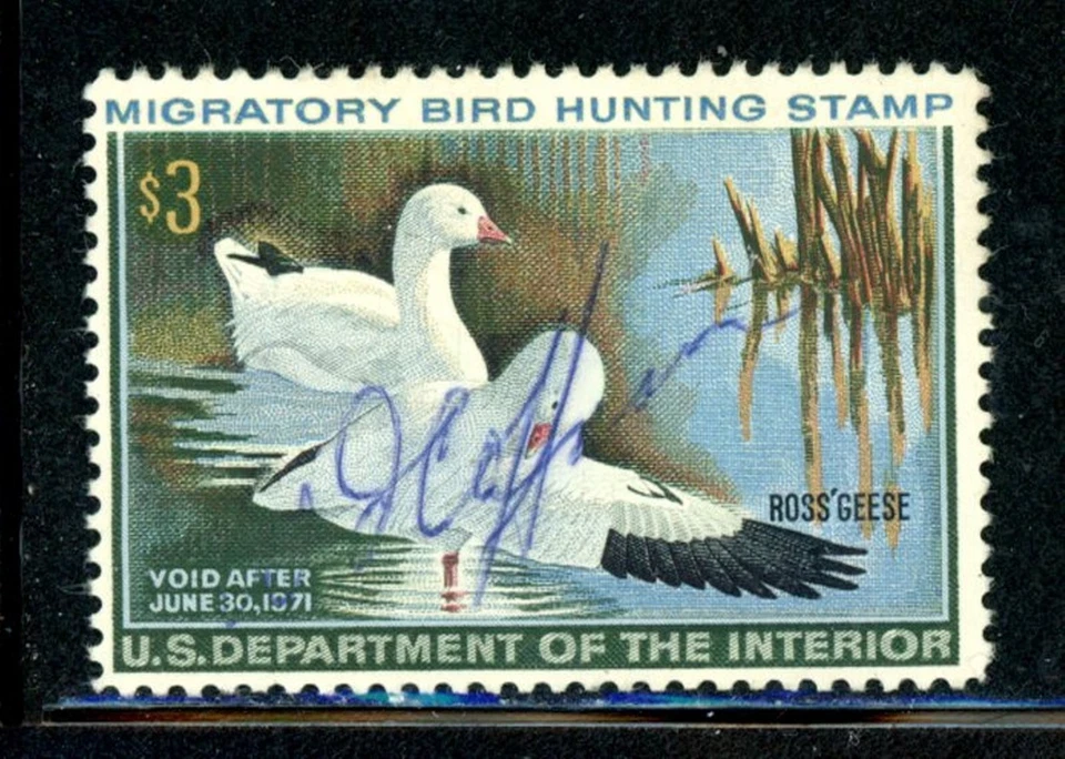 US Duck Scott # RW37 - Used - Signed                            (17-C186) - Image 1 of 1