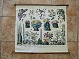 Kakteen. Bibliographisches Institut in Leipzig. Bedruckt auf Leinen ~ Wandbehang - Bild 1 von 5