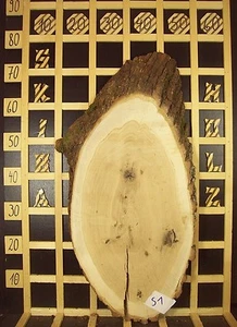 S1 Baumscheibe  Holzscheibe Holz Eiche  massiv 46mmx20-35cm Länge 77cm - Bild 1 von 3