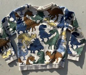 Kid's H&M Sweatshirt Multicolor Dinosaur Print 6X/7 Boy's Prehistoric Colorblock - Picture 1 of 12