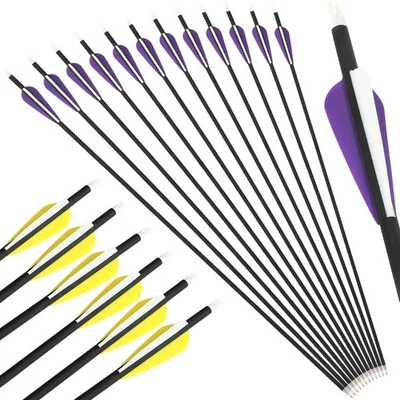 30" Carbon Arrows SP500 Archery Fields Points Compound Bow Recurve Bow Hunting - Image 1 of 4