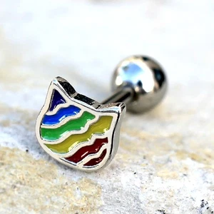 316L Stainless Steel Rainbow Cat Cartilage Earring ***** - Picture 1 of 2