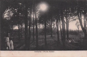 24-70B) CARTOLINA BELLARIA PINETA NADIANI ANIMATA VIAGGIATA RIMINI - Bild 1 von 2